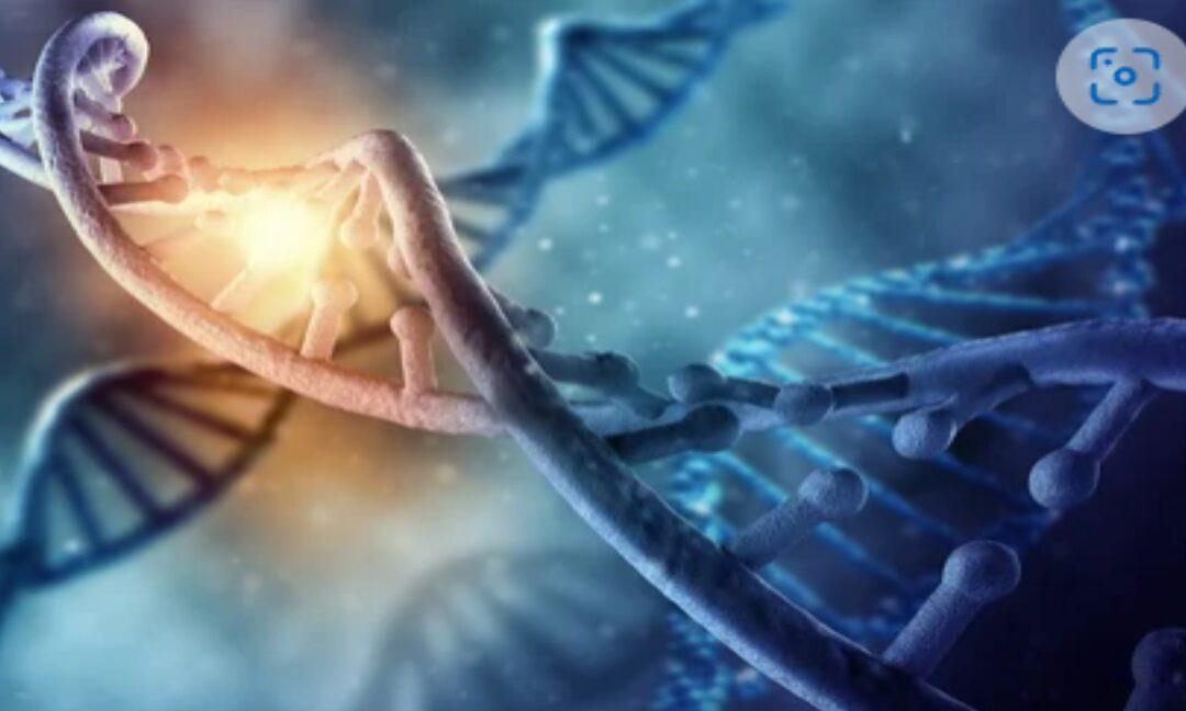 The Magic of HBOT for Increased Stem Cell Production