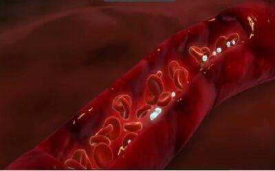 Uncovering the Secrets of Hyperbaric Oxygen Therapy: Could This Be a Cure for Cancer?