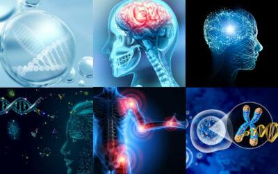 What Are The Potential Benefits Of Hyperbaric Oxygen Therapy (HBOT)?
