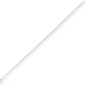 ozone catheter